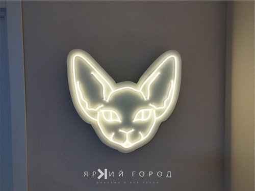 Кот